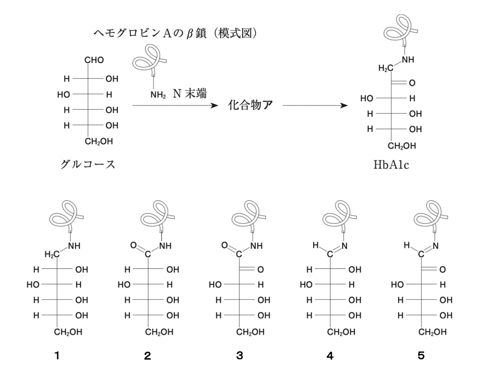 解説画像